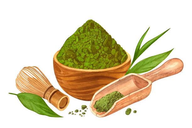 水彩干有机绿色日本抹茶拿铁在木碗，空的食物勺，打蛋器和叶子。手绘卡通插图，孤立在白色背景上。网页设计，菜单，应用程序，广告图片下载