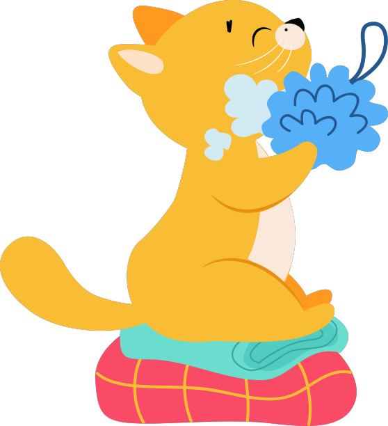 可爱的猫咪用海绵和泡沫清洗身体图片下载