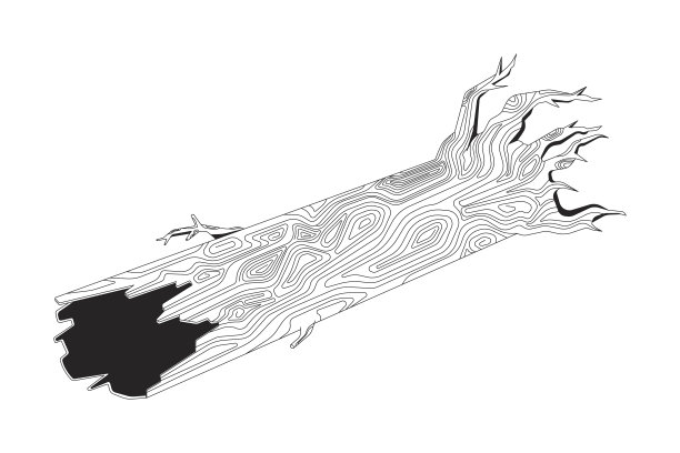 秋老树树干黑白二维线条卡通对象图片下载