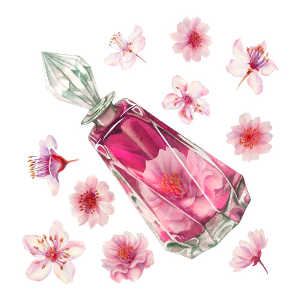 水彩粉红色盛开的樱花花与玻璃瓶，香水，为婚礼，生日，情人节剪贴画。手工绘制的卡片，边框，框架在白色背景上隔离图片下载