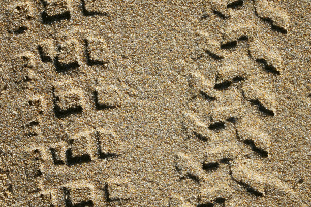 沙滩上有自行车的痕迹图片下载