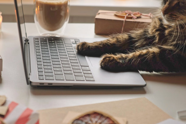 猫使用电脑笔记本电脑。在键盘上打字，滚动，滑动和点击触摸板。动物在网上购物。节日购物，送礼。圣诞装饰。冬季销售图片下载
