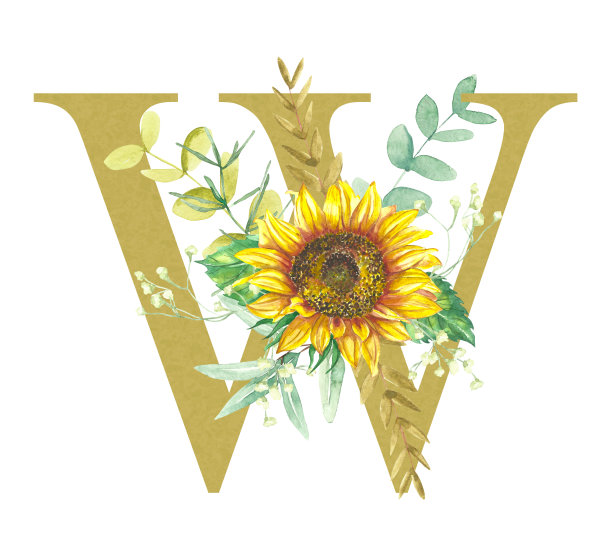 字母w是一种柔和的金色，用向日葵、桉树和各种草药的水彩花装饰。图片下载