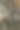 圣诞树上漂亮的玩具特写图片下载