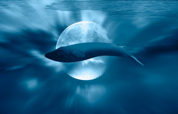 蓝鲸漂浮在云层之上背景中的满月“这张图片的元素由美国宇航局提供”图片下载