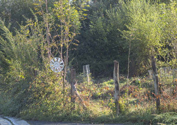 把立方体盖在树枝上图片下载