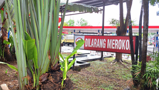 禁止吸烟的信息照片，在加油站区域，非常适合加油站的宣传媒体图片下载