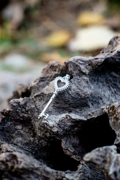 关键户外，秘密安全概念，谜。神秘的幻想图片下载