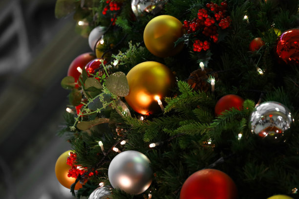 城市里装饰圣诞树的特写照片图片下载