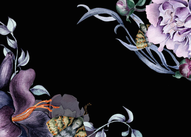 水彩画板紫粉红色的百合花孤立在黑色。哥特式花牡丹叶手绘插图。哥特式婚礼装饰复古风格。邀请函的元素，包装图片下载