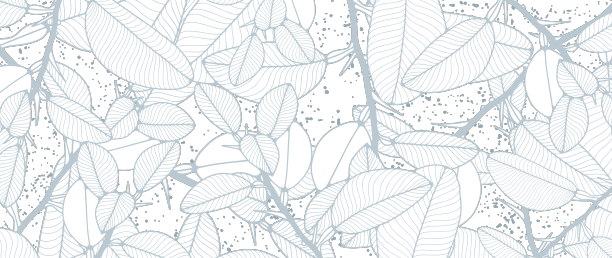 冬季浅色植物背景与分支图片下载