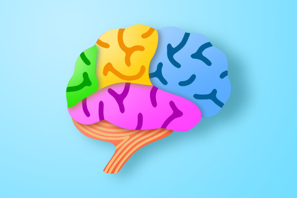 人脑的纸工艺。图片下载