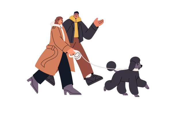 一对夫妇牵着狗绳和狗主人一起遛狮子狗图片下载