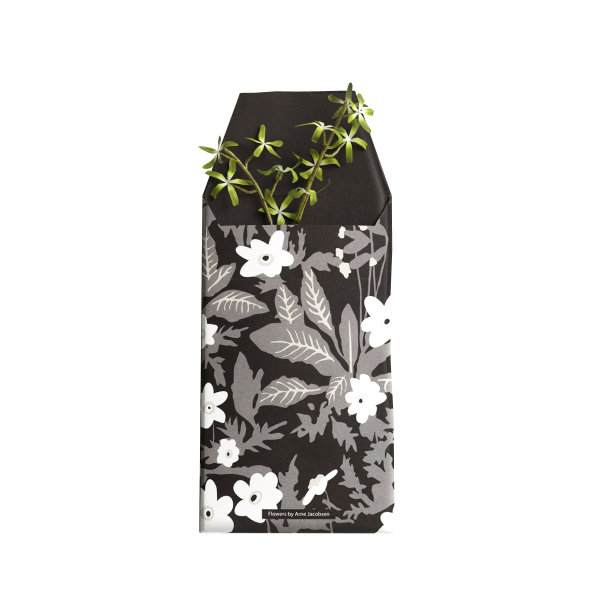 三维插图的信封和叶子孤立的白色背景图片下载