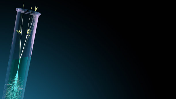 植物在试管内发芽图片下载