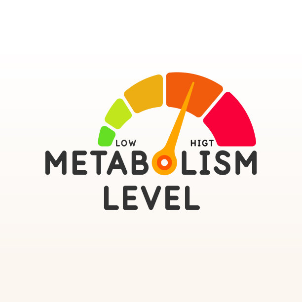 一种测量新陈代谢水平的刻度。测量身体的新陈代谢。指示灯显示电平。图片下载