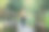 在阳光明媚的夏日森林里，母子俩手牵手走在木桥上。水平的照片图片下载