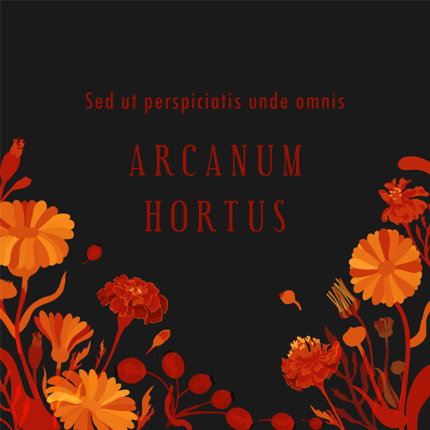 矢量插图花卉或草药产品图片下载