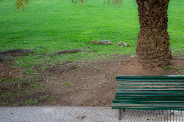 广场上的绿色木凳图片下载