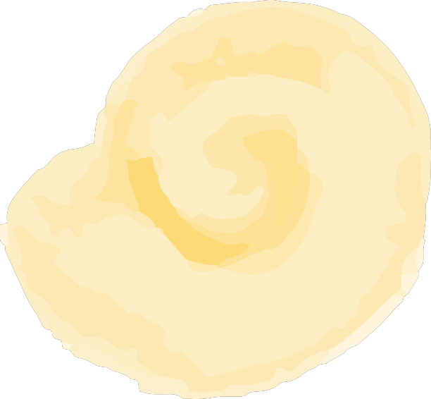 贝壳鲨鱼眼水彩画图片下载