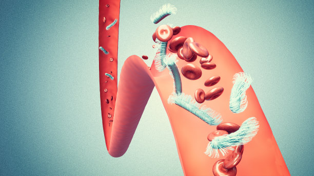 血流，静脉和红细胞以及败血症的存在图片下载