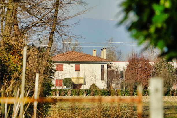 房子在森林里，照片图片数码影像图片下载