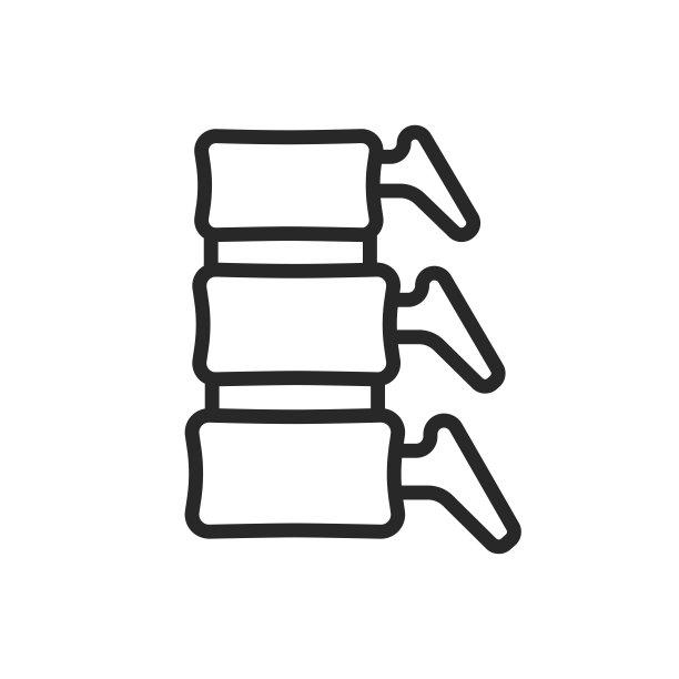 脊髓侧视图图标。神经解剖学、中枢神经系统教育和脊柱健康的细线性图解。孤立的轮廓矢量标志。图片下载