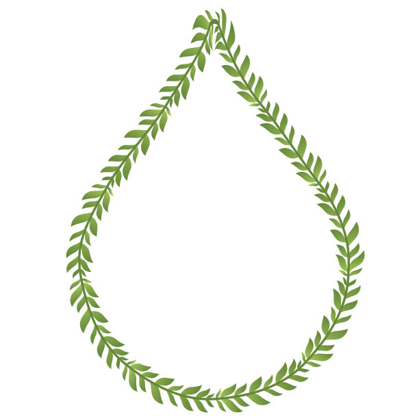 Drop Shape绿叶花框架下部图片矢量相框花边装饰植物分支元素获奖者获奖祝贺图片下载
