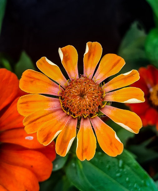 我们喜欢的东西图片下载