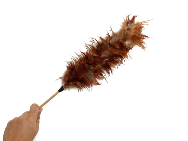 照片的主题是手拿鸡毛掸子的姿势图片下载