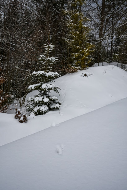 乌克兰喀尔巴阡山脉积雪覆盖的道路图片下载
