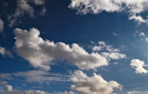 清晰的白色图片下载