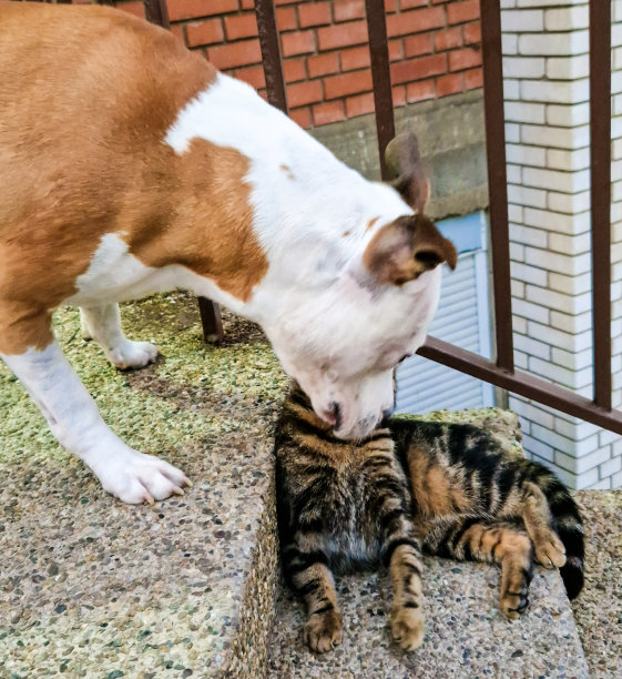 工作人员图片下载