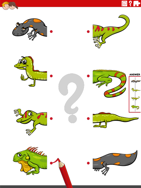 将两半具有教育意义的动物图片配对图片下载