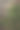 圣诞组成的冷杉枝和浆果的viburnum木制背景。图片下载