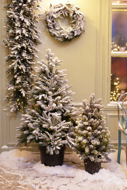 圣诞雪云杉在花盆里。在家里的冬季露台上，花盆里有郁郁葱葱的冷杉树。冬天的节日街道上有雪和圣诞树。冬季圣诞街道装饰建筑。图片下载