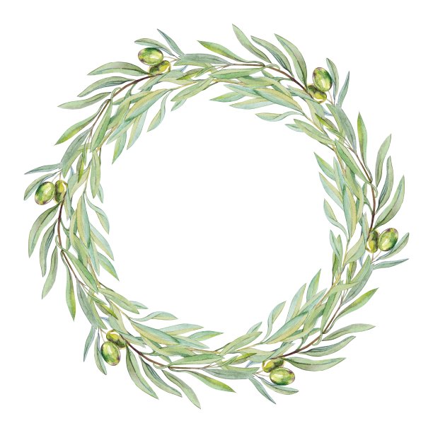 水彩橄榄枝花环插图图片下载