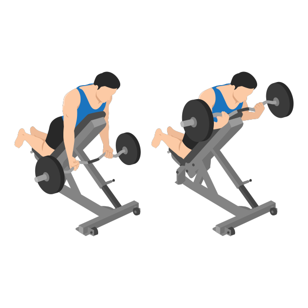 男子做反向俯卧杠铃卷曲图片下载