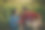 一对多元化的夫妇在智能手机的引导下，在一个令人惊叹的葡萄园里采摘葡萄，充分利用现代工具。图片下载