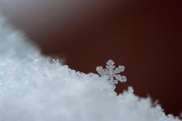 一片美丽的真正的雪花。自然界中的雪。冬天微距照片。圣诞节和节假日的概念。图片下载