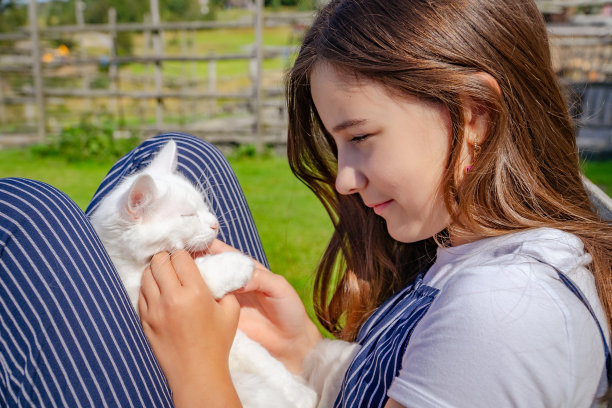 可爱的小女孩在阳光明媚的日子里坐在户外，怀里抱着一只白猫图片下载