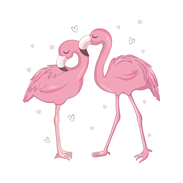 爱火烈鸟手绘两只火烈鸟图片下载