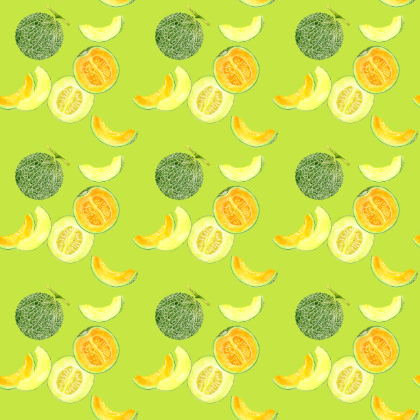 瓜纹无缝。水果水彩插图。图片下载