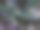 黑色背景上的现代魅力斑点彩虹点图片下载