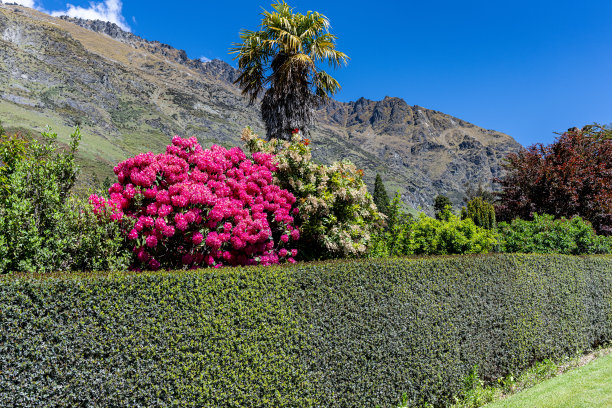 沃尔特峰高地农场的花园图片下载