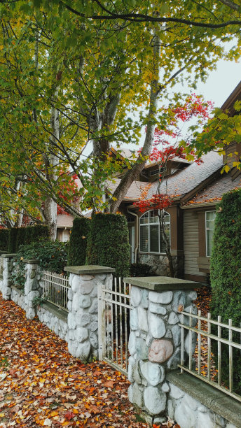 秋天在加拿大，树叶在路上的股票照片图片下载