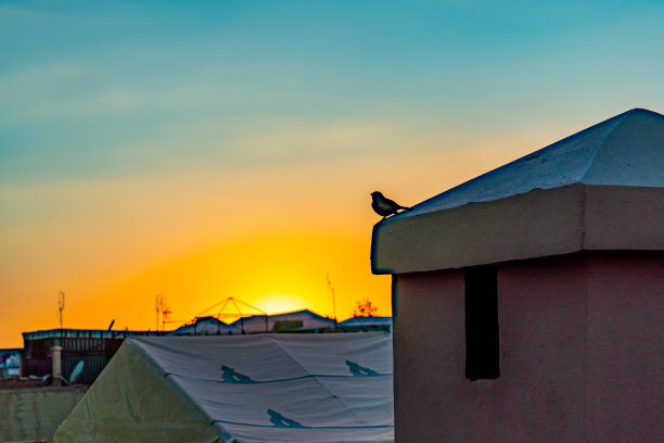日出时的麦地那，摩洛哥马拉喀什图片下载