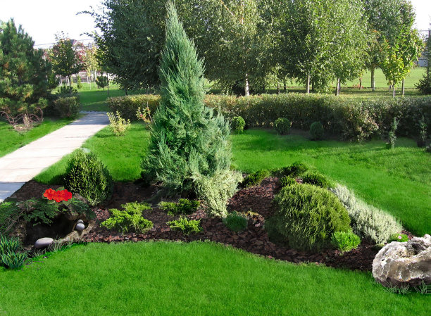 后院装饰和分组植物的例子，3D渲染图片下载
