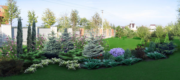 后院装饰和分组植物的例子，3D渲染图片下载