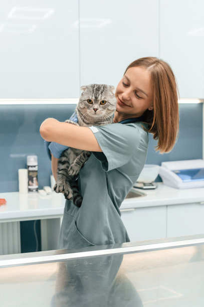 站着，抱着动物，微笑着。苏格兰折耳猫和女医生在兽医诊所图片下载